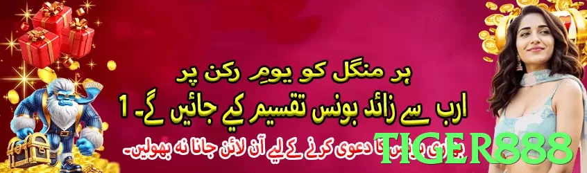 Tiger888 Pakistan - 3